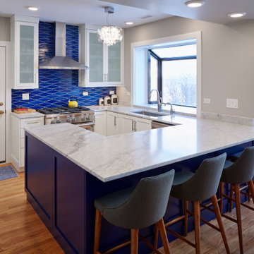 Chicago Kitchen Renovation