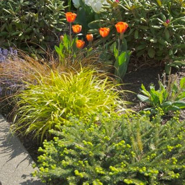 Flowering Perennials/ Ornamental Grass Combinations - Lake Oswego, OR