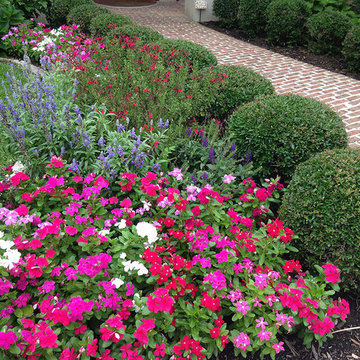 Beautiful Blooming Borders