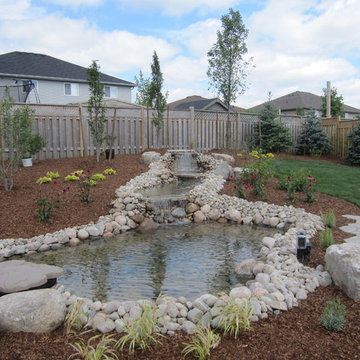 St Marys Pond Project