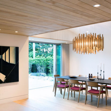 Southlands Orée Light