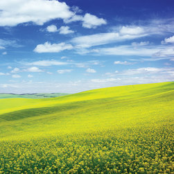 Art for your home - Photographs