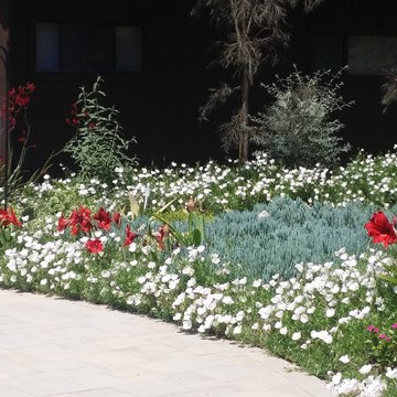 Rancho San Diego Mediterranean Garden