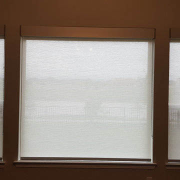 Light Filtering Roller Shades
