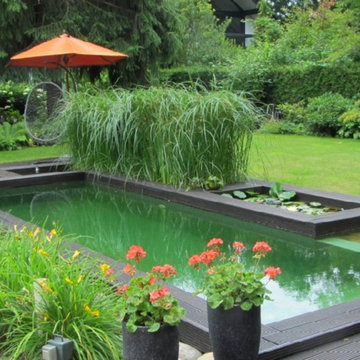 Schwimmteiche - Naturpools