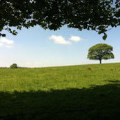 Kieran Atkinson's photo