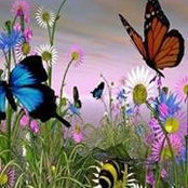 Cynthia Calvert's photo