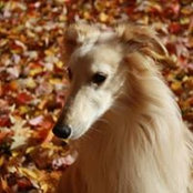 Brenda Katz's photo