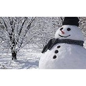 Eman Masharqa's photo