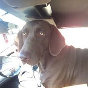 Jonathan Moore's photo