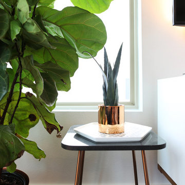 Mueller Masculine Midcentury Modern Townhouse