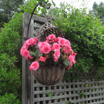Container Gardens