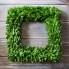 Boxwood Country Manor Square Wreath 16"