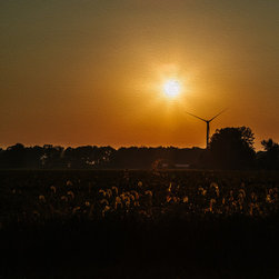 County Sunset - Artwork
