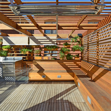 DC Roof Deck & Cedar Benches