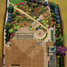 Landscape Ideas
