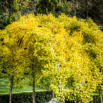 Bridgehampton Summer Cottage