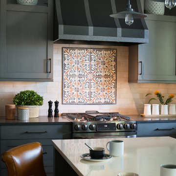 Streamlined Suburban Gray Kitchen