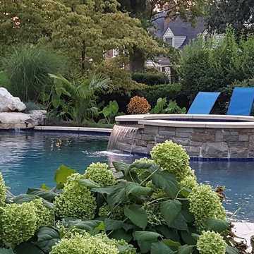 Swimming Pool in Chevy Chase - Chenault Road