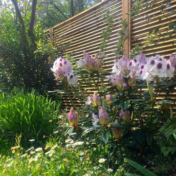 Aménagement paysager d'un jardin à Suresnes...