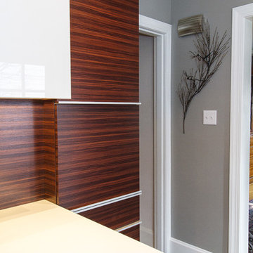 Contemporary Kitchen Renovation