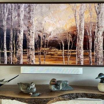 Custom TV Install