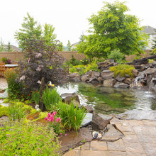 Ponds, Streams, Water