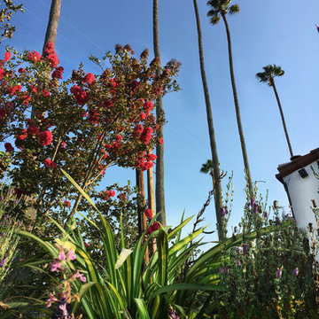 Vivacious Mediterranean Front Yard