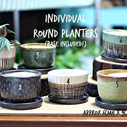 Teachers Day Specials - Indoor Pots And Planters