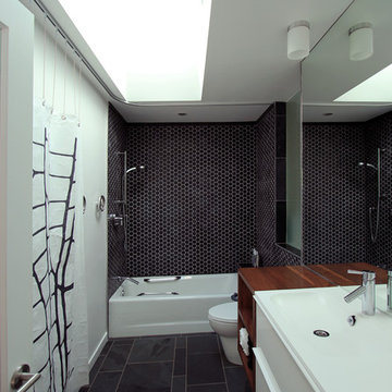 Folded House