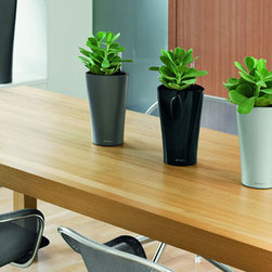 Lechuza - Outdoor Decor