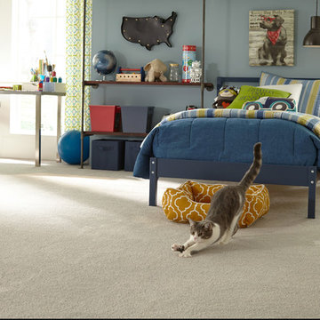 STAINMASTER® PetProtect™ carpet
