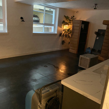 Lions Projects