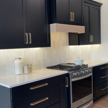 Black Paint and Light White Oak Kitchen Design