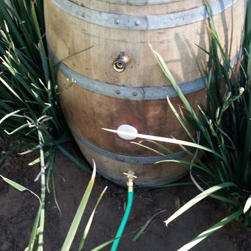 Wine Barrel- Rain Barrel in Studio City
