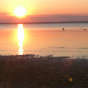 jason trombley's photo