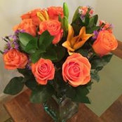 Marcela King-Dreyer's photo