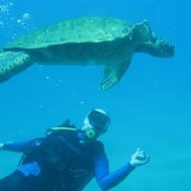 Matt Freund's photo