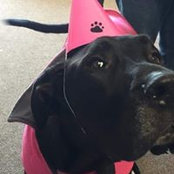 Justin Walker's photo