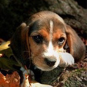 Amy Bolen's photo