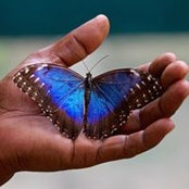 Cathy Jones's photo