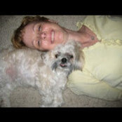 Sara Stephenson's photo