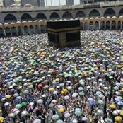 محمد الحمامصى's photo