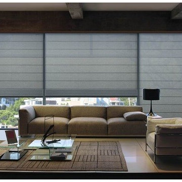 Blackout Roman Shades Alluring Window