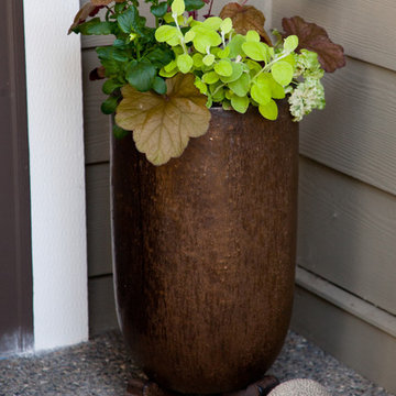 Sandy & Allen's Landscape, Fountain & Containers