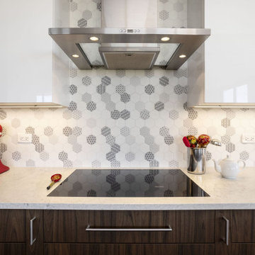 South Loop Highrise Kitchen Renovation