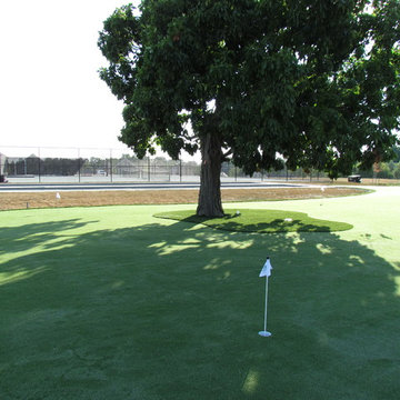 Golf Anyone?