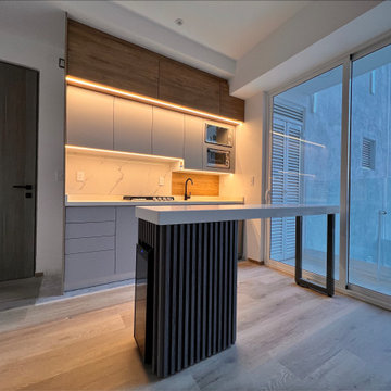 Complete Kitchen Renovation in Mexico City High-Rise Apartment