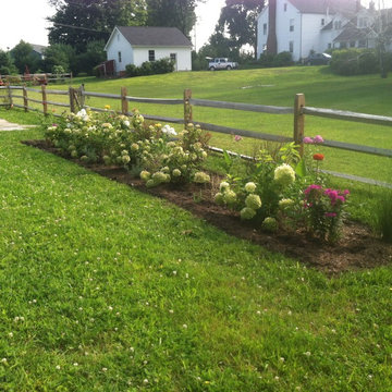 Colorful linear garden beds