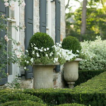 Front landscaping